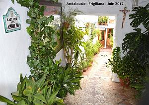 562 - Frigiliana